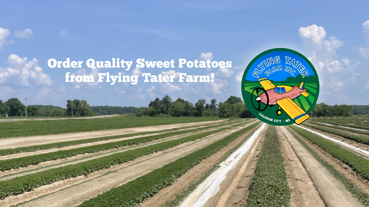 Order Quality Sweet Potatoes